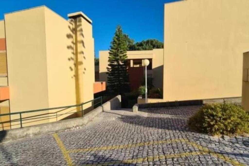 Soltroia - Casa Do Pinheiro Apartment Bagian luar foto